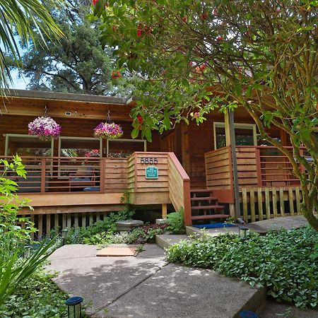 Woods Waves: Luxury Coast Cabin King Beds Pets Tillamook Kültér fotó