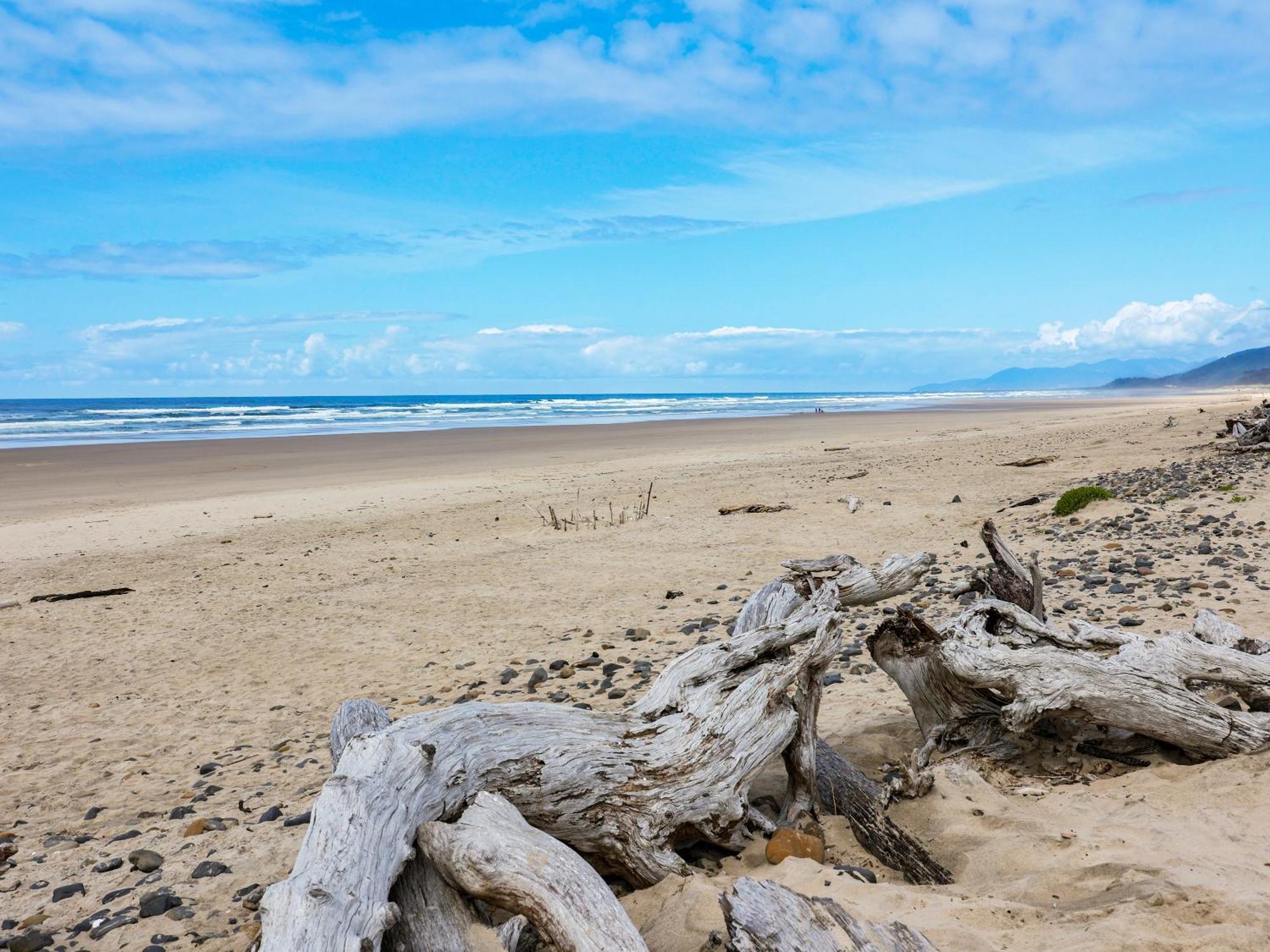 Woods Waves: Luxury Coast Cabin King Beds Pets Tillamook Kültér fotó