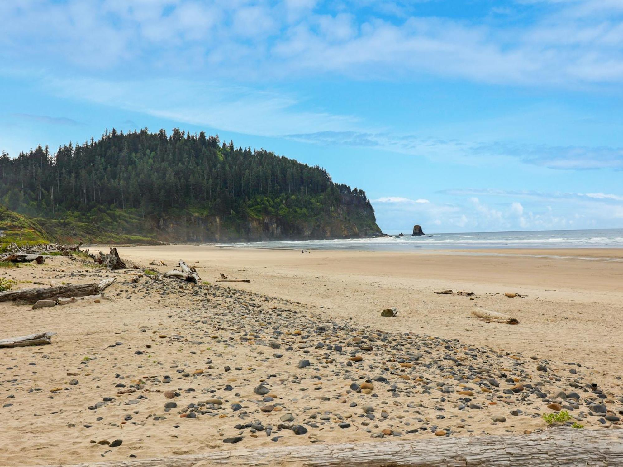 Woods Waves: Luxury Coast Cabin King Beds Pets Tillamook Kültér fotó