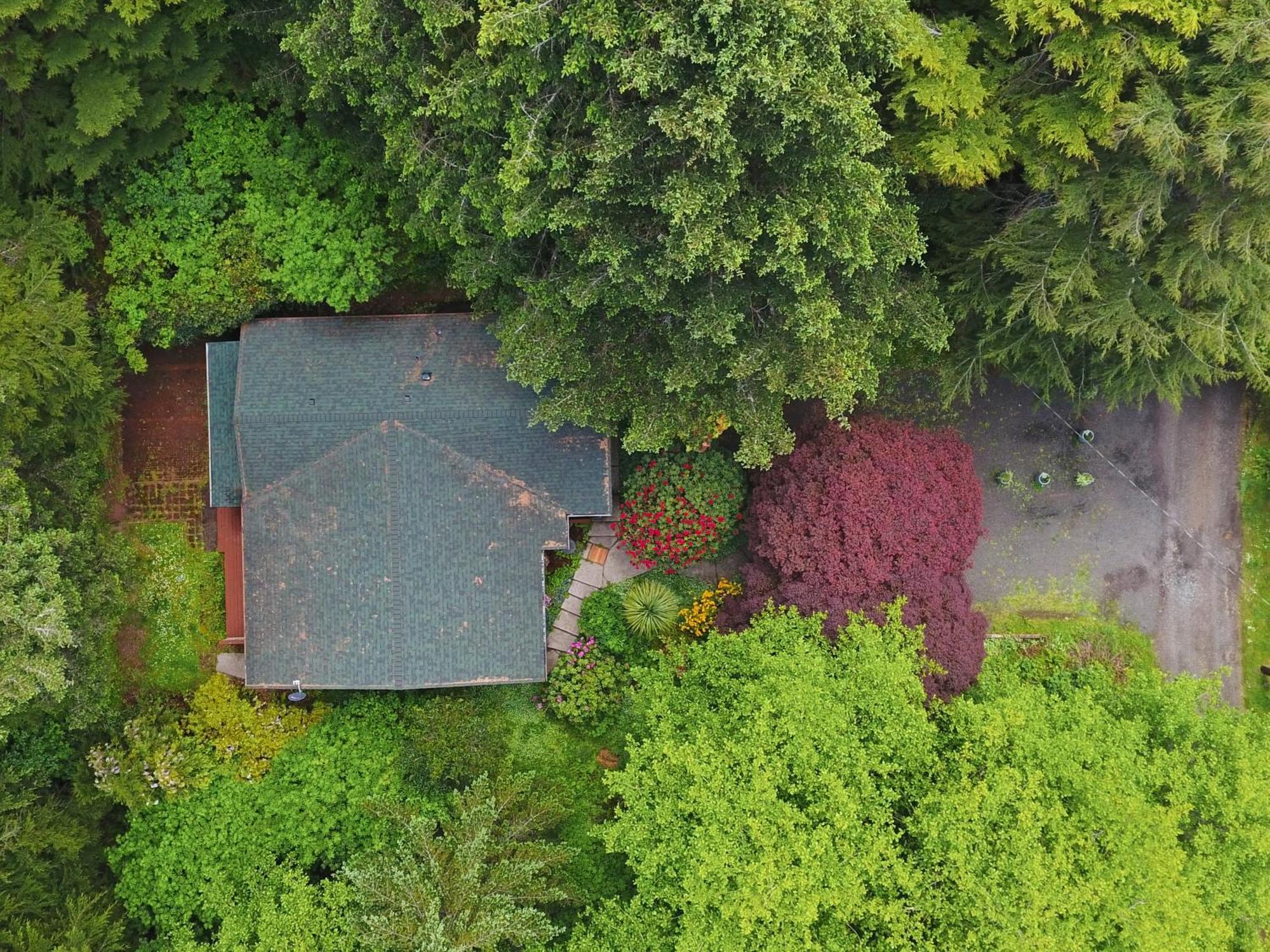 Woods Waves: Luxury Coast Cabin King Beds Pets Tillamook Kültér fotó